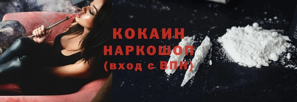 шишки Абинск