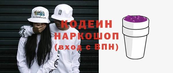 шишки Переславль-Залесский