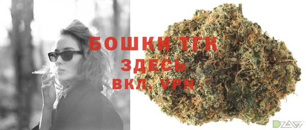 шишки Переславль-Залесский