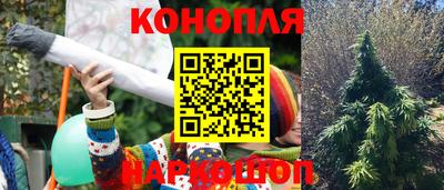 jwh Краснодар