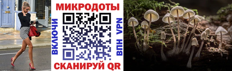 Псилоцибиновые грибы мухоморы  Донецк 