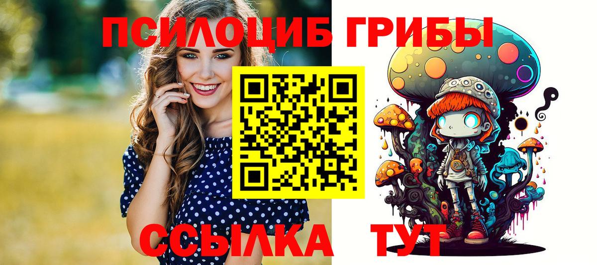 Донецк  Псилоцибиновые грибы Psilocybe  Вход с VPN 